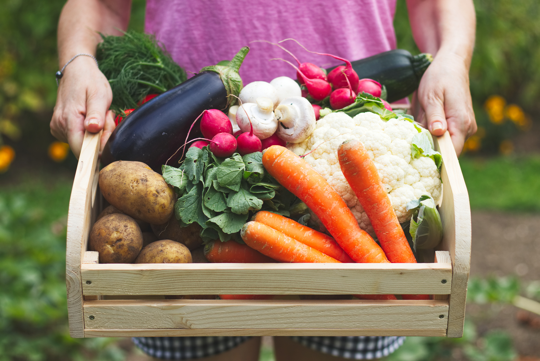 alimentos sem agrotóxicos